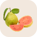 Guava