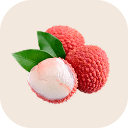 Litchi