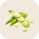 Broad bean