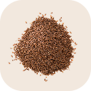 Flax (linseed)