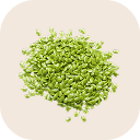 Grass pea