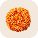 Lentil