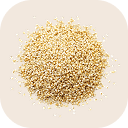 Quinoa (goosefoot)