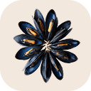 Blue mussels