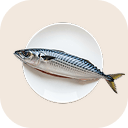 Mackerel