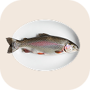 Trout (rainbow trout)