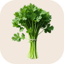 Coriander