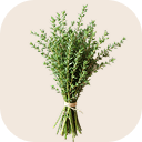 Thyme