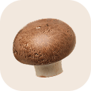 Bay boletus