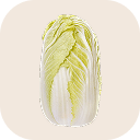Chinese cabbage