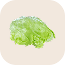 Iceberg lettuce
