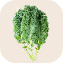 Kale (curled kale)