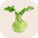 Kohlrabi (turnip cabbage)