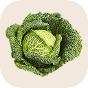 Savoy cabbage
