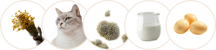 Food allergens sample